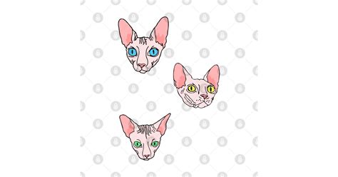 Sphynx Cat Black And White Stripes Naked Cat Sphinx T Shirt TeePublic