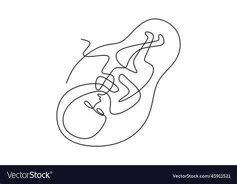 Baby In Womb One Single Line Drawing Cute Unborn Vector Image