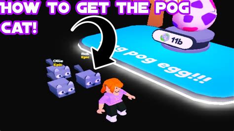 I GOT THE POG CAT HOW TO GET THE POG CAT Pet Sim X Gaming With