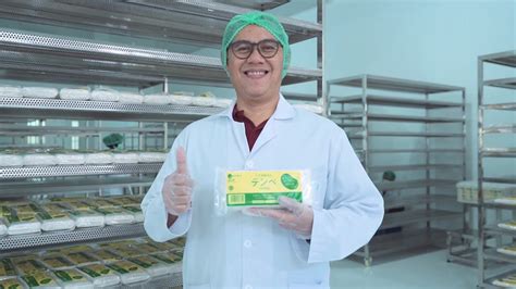 Cerita Sukses Tempe Jadi Mendunia Ala Pt Azaki Food Internasional