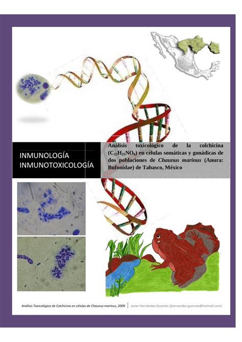 Pdf An Lisis Toxicol Gico De La Colchicina En Sapos De Tabasco