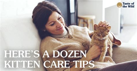 12 Tips For Raising A Healthy Happy Kitten Taste Of The Wild