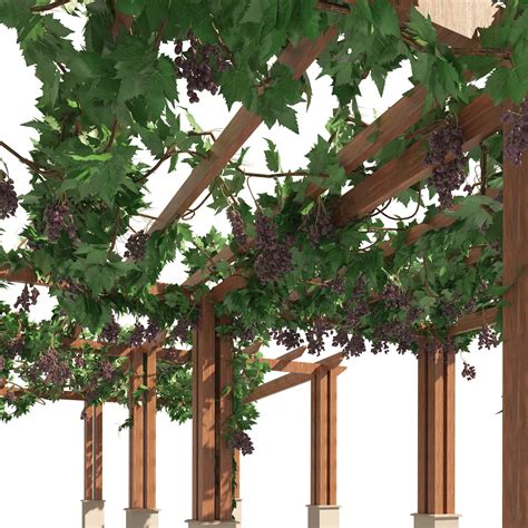 2 Grape Vine Pergola - FlippedNormals