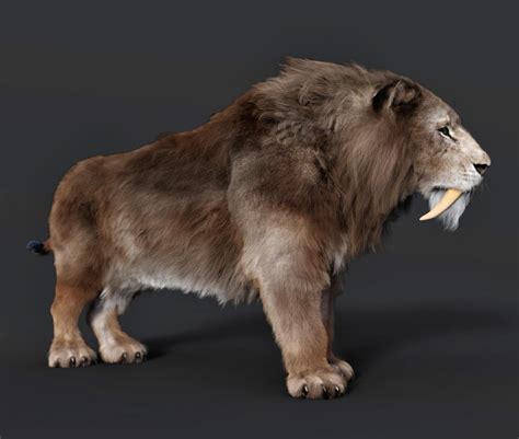 Smilodon Populator By Alexmastronardi On Deviantart