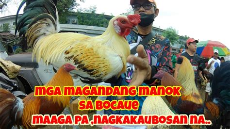 December 29 2023 Habol Sa New Year Mga Manok Na Quality Maaga Pa