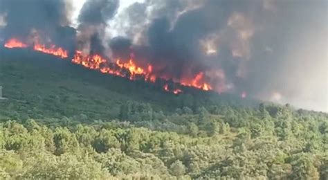 Un Incendio De Nivel De Peligrosidad 1 En Santa Cruz De Paniagua