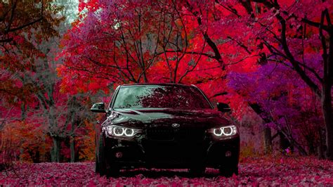 BMW 335I 4K Wallpaper