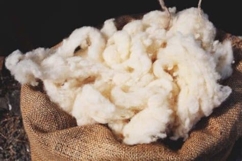 10 Uses for Wool Besides Spinning It