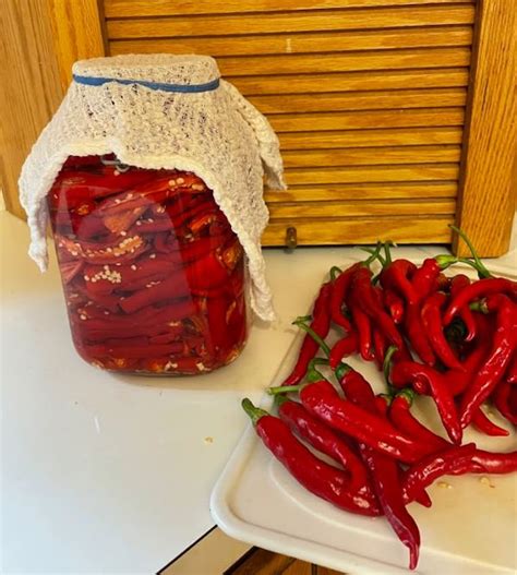 Fermenting Your Own Hot Sauce DCMGV