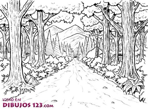 Paisajes De Bosques Para Pintar Colorear Imágenes