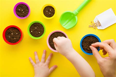 Activité jardinage en crèche conseils et ateliers pour les tout