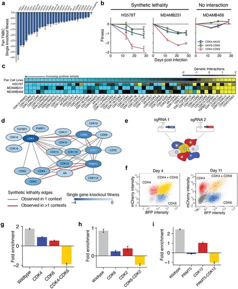 CDK Combinatorial Disruption Reveals Conserved And Context Dependent