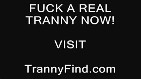 Hermaphrodite Free Shemale HD Porn Video XHamster