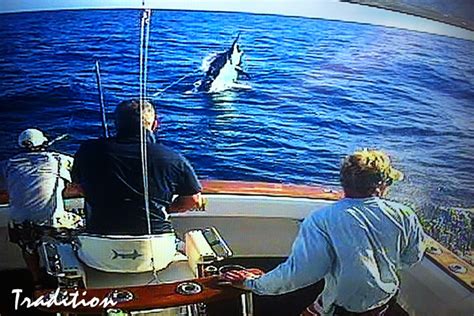 Calm Days And Marlin Black Marlin Blog