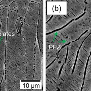 SEM Micrographs Showing The Microstructure After Etching Of Samples STA