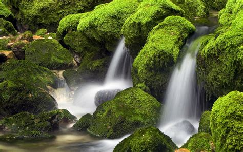 Fondos De Pantalla Paisaje Bosque Cascada Naturaleza Verde Selva