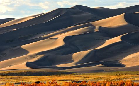 Download wallpaper 3840x2400 sand, hill, dunes, tree 4k ultra hd 16:10 hd background