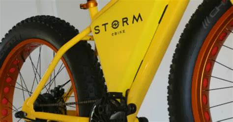 Can the Storm Electric Bike Deliver For Cheap?