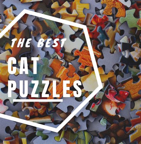 The Best Cat Jigsaw Puzzles – 1,000 piece, Specialty, and More | Happy Cat Corner