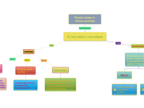 División celular en células eucariotas Mindmap