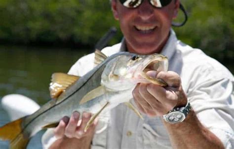 How To Catch Snook From A Kayak Kayak Fishin Guru