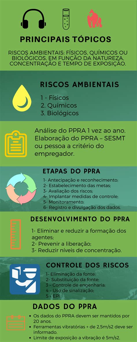 Resumo NR 09 PPRA Programa de Prevenção de Riscos Ambientais