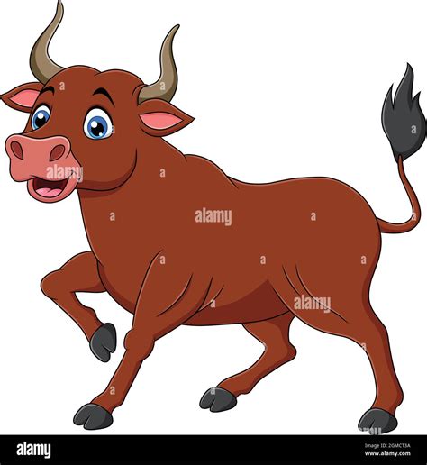 Bull Bos Taurus Stock Vector Images Alamy