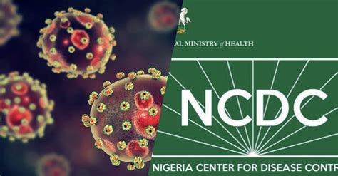 Ncdc Confirms 6 Fresh Lassa Fever Deaths 77 Infections