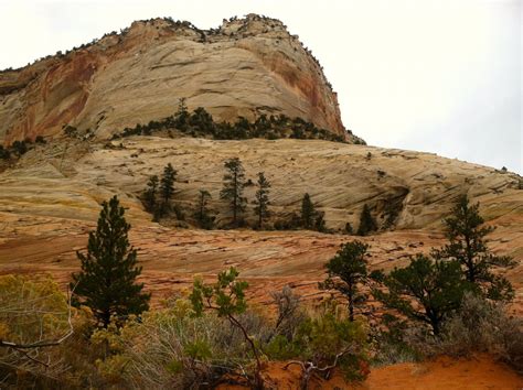 Thisismyipodstorecom Marching To Zion A Novel