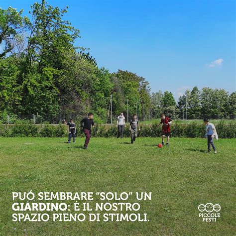 Insieme per arricchire i servizi di Piccole Pesti | Cooperative Fraternità
