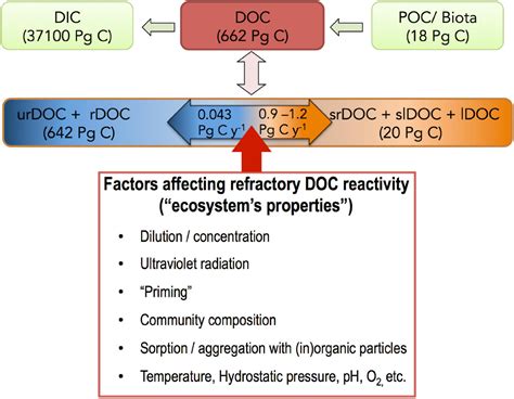 Frontiers What Is Refractory Organic Matter In The Ocean