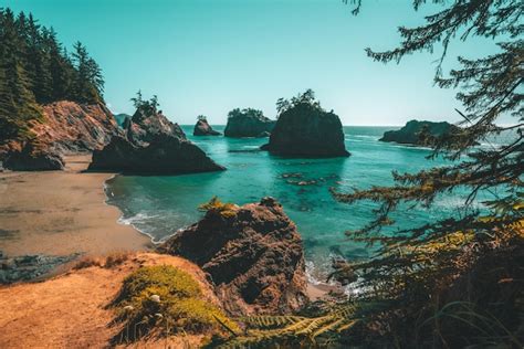 Premium Photo Secret Beach Oregon Coast Beach Rocks Ond Beach Trees