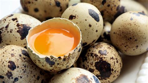 10 Essential Tips For Cooking Quail Eggs