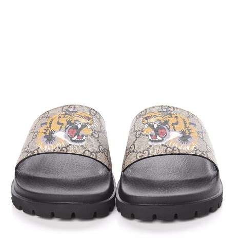 GUCCI GG Supreme Monogram Mens Tiger Slide Sandals 5 Ebony 363773