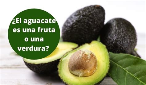 El Aguacate Es Una Fruta O Una Verdura Huertos Aprende A Cultivar