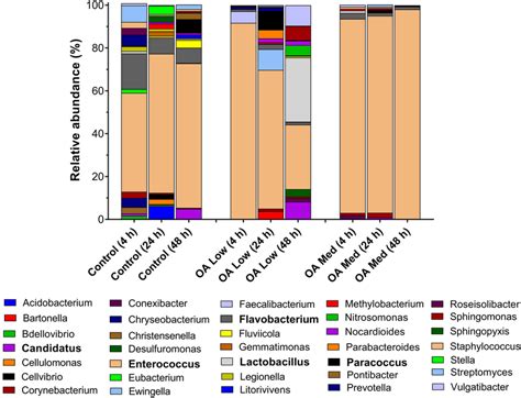 Genus Level Bacterial Composition 16s Rrna V3v4 Of The Gut Tissues