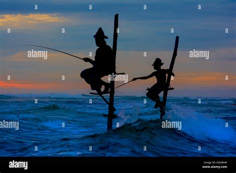 Las Siluetas De Los Pescadores Tradicionales De Sri Lanka Zancudos