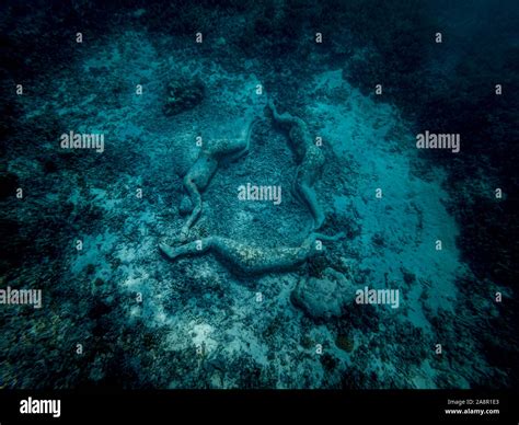 Beautiful Underwater View Of Sculpture At Bottom Of The Sea In Gili