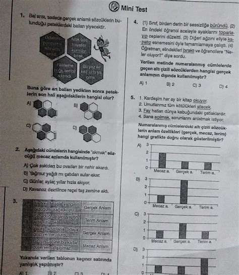 son sorular hızlı cevap Eodev