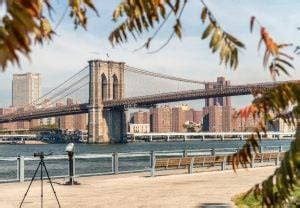 Best Things To Do In New York City Cuddlynest