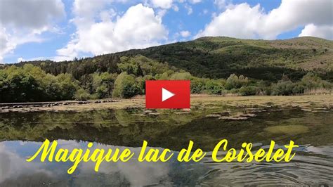 Magique Lac De Coiselet Dans Le Jura La D Couverte De La Faune Youtube