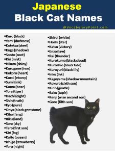 Japanese Cat Names (Funny, Cute and Kitten) - Vocabulary Point