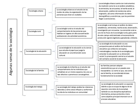 Algunas Ramas De La Sociologia Pdf Sociología Estadísticas