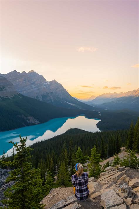 Peyto Lake Guide All You Need To Know The Banff Blog Vacation