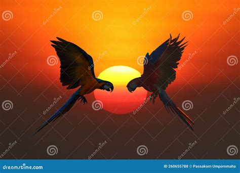 Hermosos Loros Volando En El Cielo Durante La Puesta De Sol Foto De