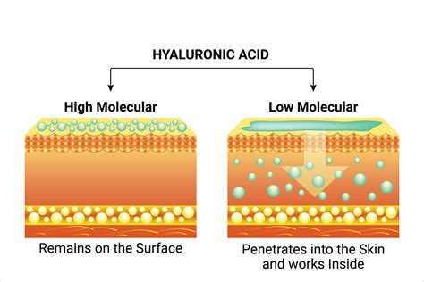 Hyaluronic Acid Design Illustration Graphic by hamjaiu · Creative Fabrica