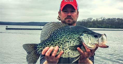 World Record Crappie