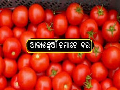 ବଢୁଛି ଟମାଟୋ ଦର କିଲୋ 140 Tomato Prices Hike In South India Rs 140 Kg