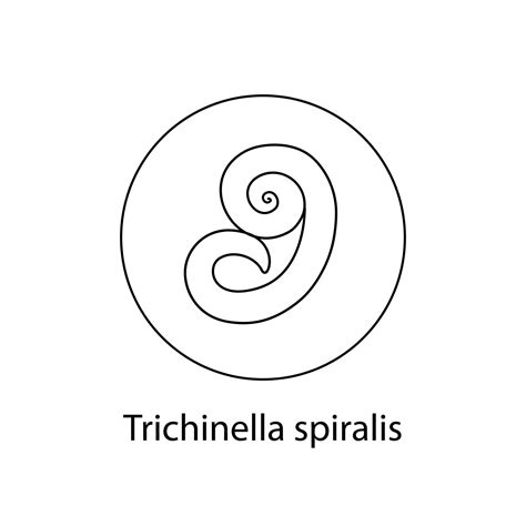 Premium Vector | Parasites worms helminths in humans cats dogs hand drawing