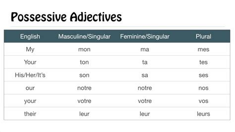 Possessive Adjectives Diagram Quizlet